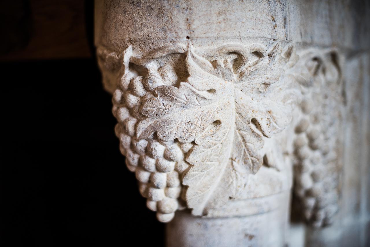 บีแอนด์บี เลอ โคล่ ดู ฟาร์ Bed & Breakfast Saint-Samson-de-la-Roque ภายนอก รูปภาพ