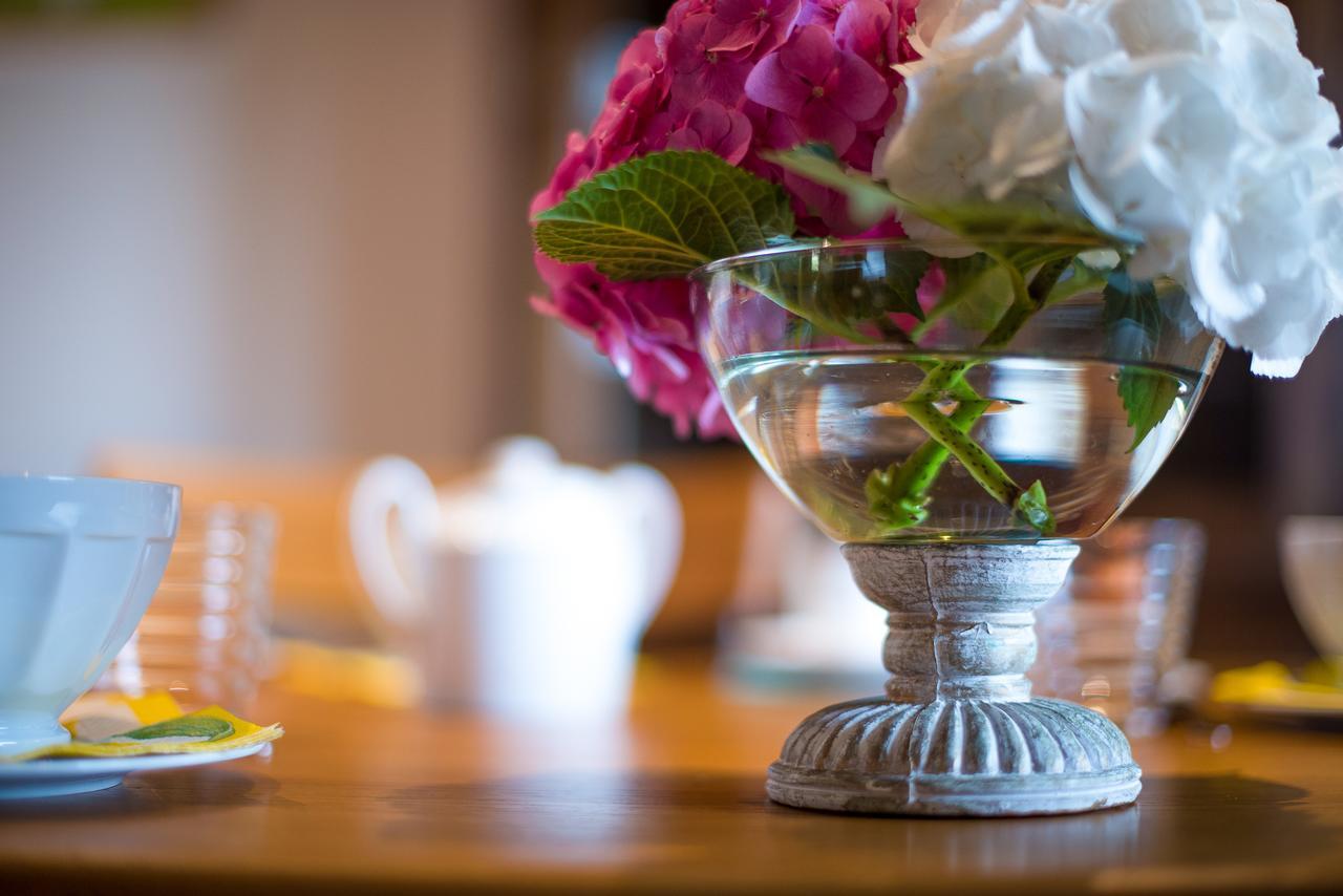 บีแอนด์บี เลอ โคล่ ดู ฟาร์ Bed & Breakfast Saint-Samson-de-la-Roque ภายนอก รูปภาพ